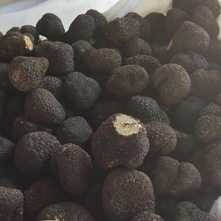 فيلا Les Burons أوبس المظهر الخارجي الصورة